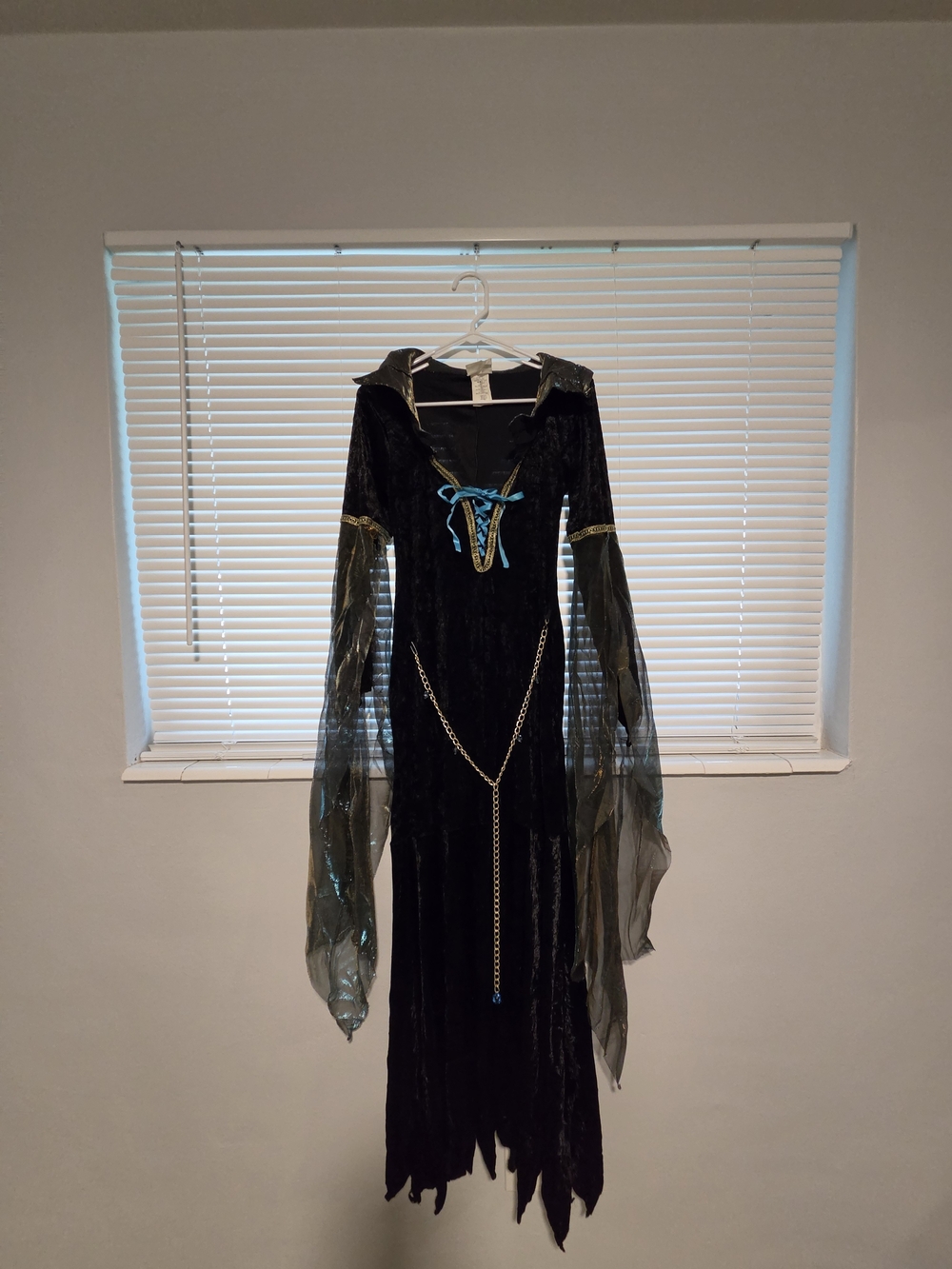 Black Velvet Sorceress with Sheer Draped Sleeves